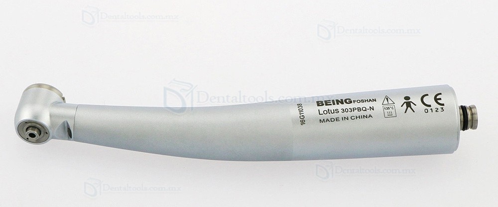 Being&reg; Louts 302PQ/303PQ Pieza de mano de alta velocidad compatible con KAVO